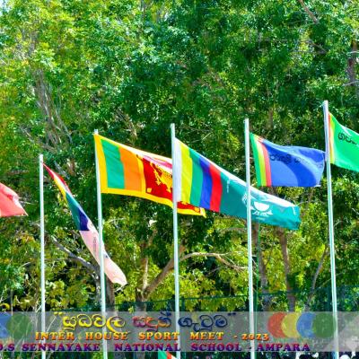 Whatsapp Image 2023 09 14 At 02.52.27