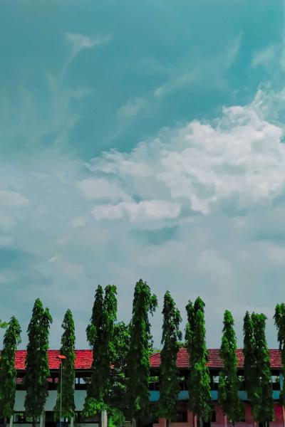 Img 20220512 110845 02