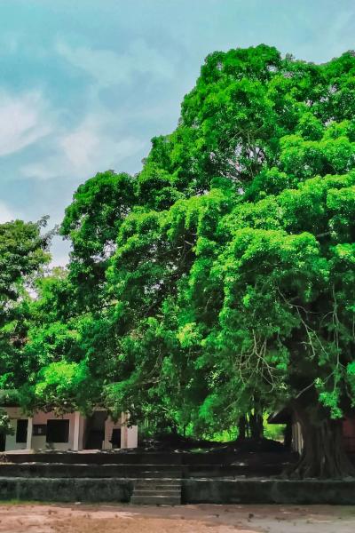 Img 20220512 110924 02