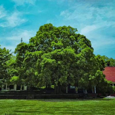 Img 20220512 111011 02