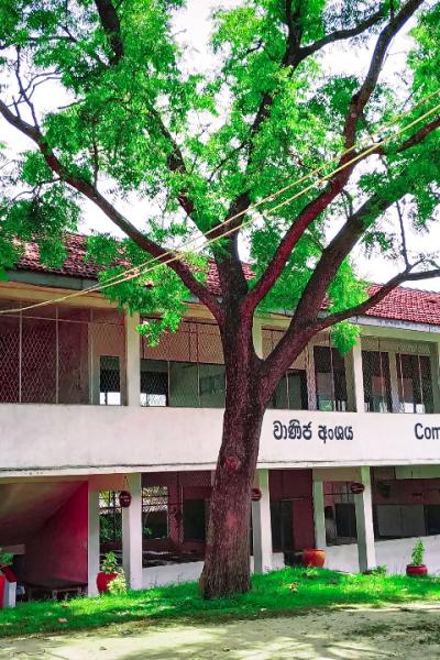 Whatsapp Image 2023 09 07 At 21.36.27