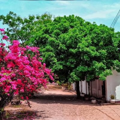 Whatsapp Image 2023 09 07 At 21.36.29